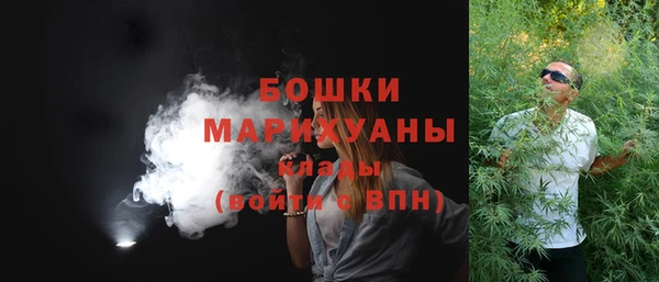 шишки Всеволожск