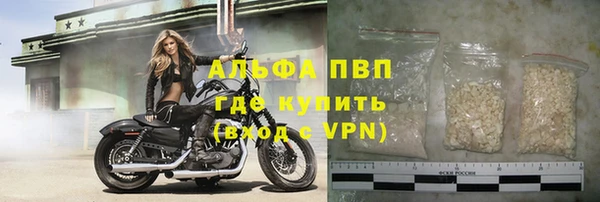 шишки Всеволожск