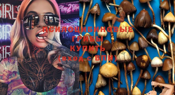 шишки Всеволожск